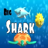 Big Shark
